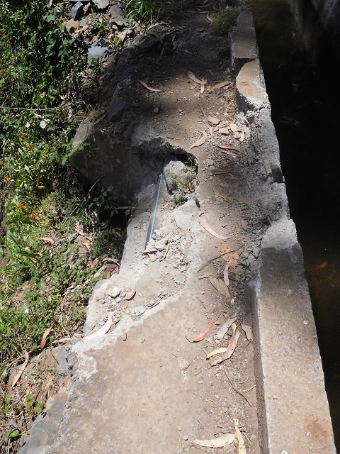 25 June 2016 Levada dos Tornos — Through 2 tunnels as far as the turning point — photo 9