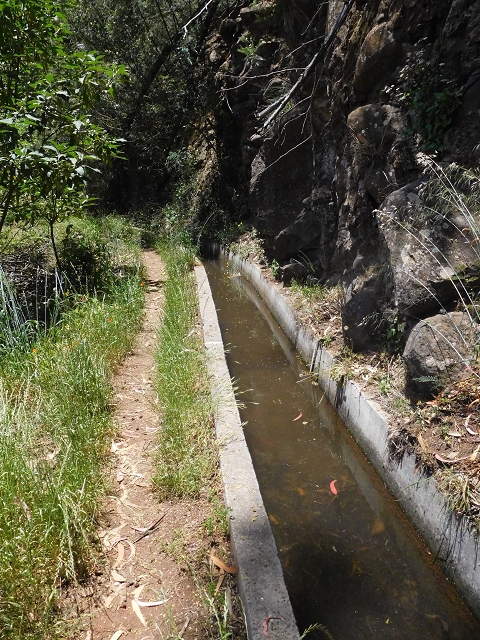 25 June 2016 Levada dos Tornos — Through 2 tunnels as far as the turning point — photo 10