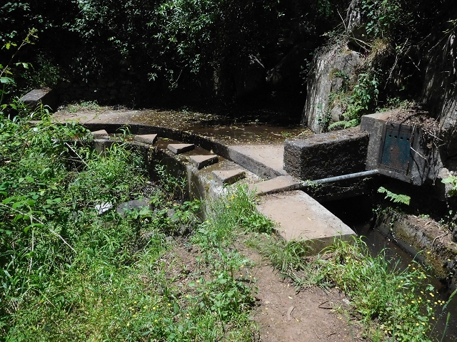 25 June 2016 Levada dos Tornos — Through 2 tunnels as far as the turning point — photo 11