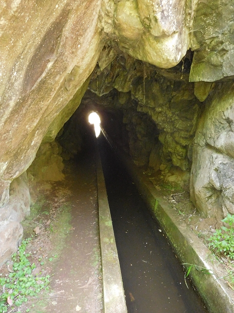 25 June 2016 Levada dos Tornos — Through 2 tunnels as far as the turning point — photo 12
