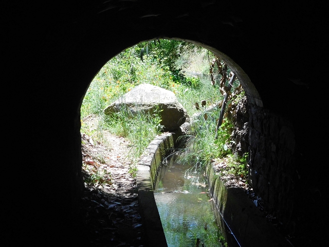 25 June 2016 Levada dos Tornos — Through 2 tunnels as far as the turning point — photo 13