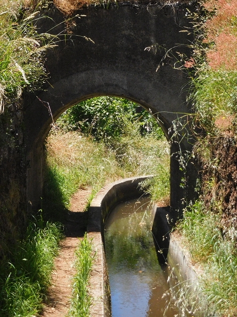 25 June 2016 Levada dos Tornos — Through 2 tunnels as far as the turning point — photo 14