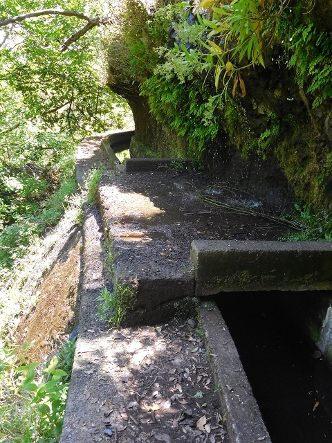 25 June 2016 Levada dos Tornos — Through 2 tunnels as far as the turning point — photo 16