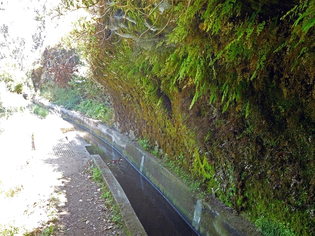 25 June 2016 Levada dos Tornos — Through 2 tunnels as far as the turning point — photo 17