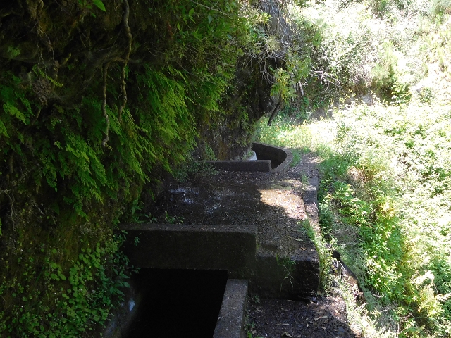 25 June 2016 Levada dos Tornos — Through 2 tunnels as far as the turning point — photo 18