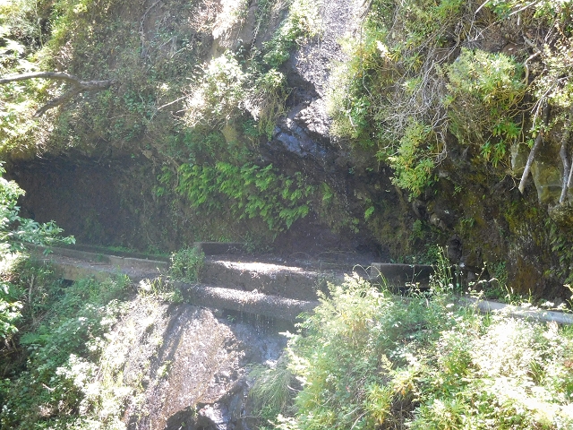 25 June 2016 Levada dos Tornos — Back to the first tunnel — photo 1