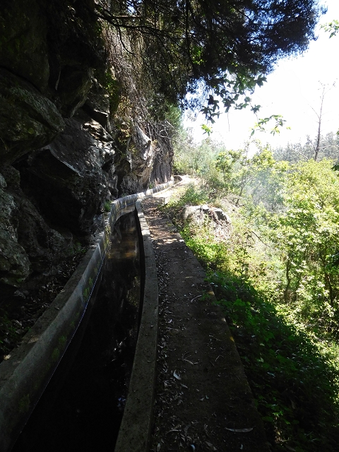 25 June 2016 Levada dos Tornos — Back to the first tunnel — photo 2