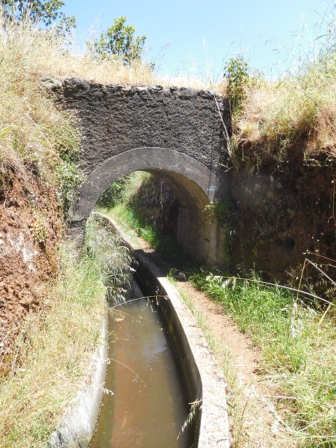 25 June 2016 Levada dos Tornos — Back to the first tunnel — photo 4