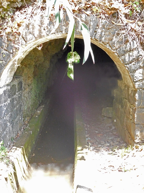 25 June 2016 Levada dos Tornos — Back to the first tunnel — photo 5
