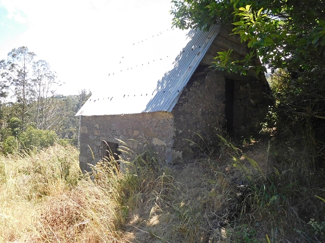 25 June 2016 Levada dos Tornos — Back to the first tunnel — photo 7