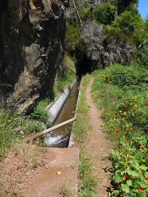 25 June 2016 Levada dos Tornos — Back to the first tunnel — photo 10