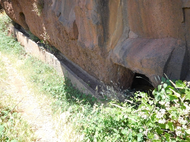 25 June 2016 Levada dos Tornos — Back to the first tunnel — photo 12