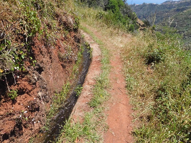 25 June 2016 Levada dos Tornos — On the levada that branches off to Pico de Gaula — photo 2