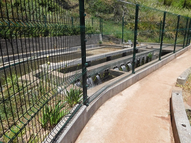 25 June 2016 Levada dos Tornos — From the ER-206 as far as Pico de Gaula — photo 5
