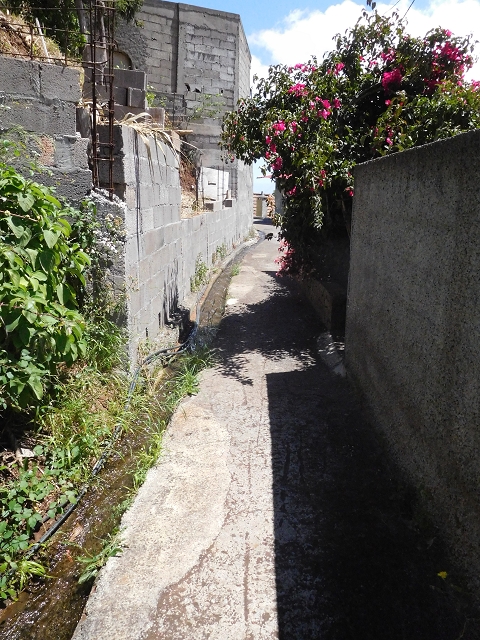 25 June 2016 Levada dos Tornos — On the levada that branches off to Pico de Gaula — photo 7