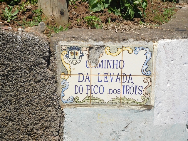 25 June 2016 Levada dos Tornos — On the levada that branches off to Pico de Gaula — photo 9