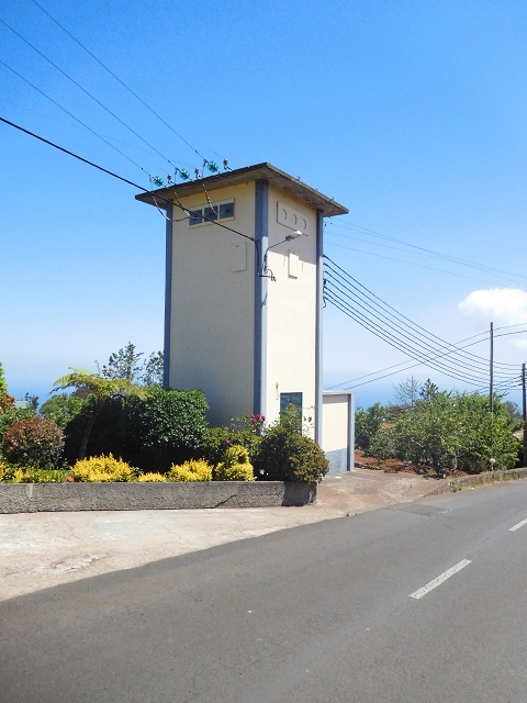 25 June 2016 Levada dos Tornos — Along the Levada do Pico das Eiroses and back to the starting point — photo 10