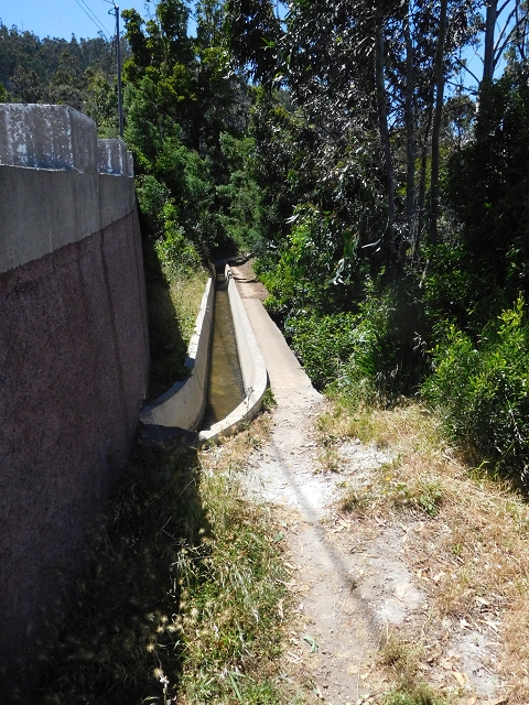 25 June 2016 Levada dos Tornos — Along the Levada do Pico das Eiroses and back to the starting point — photo 11