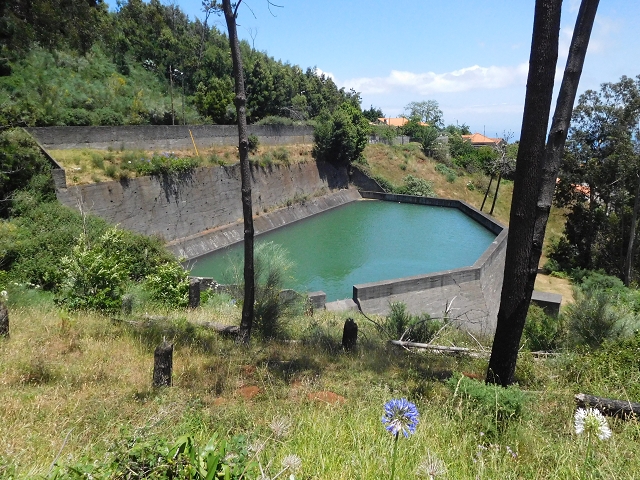 25 June 2016 Levada dos Tornos — From the ER-206 as far as Pico de Gaula — photo 6