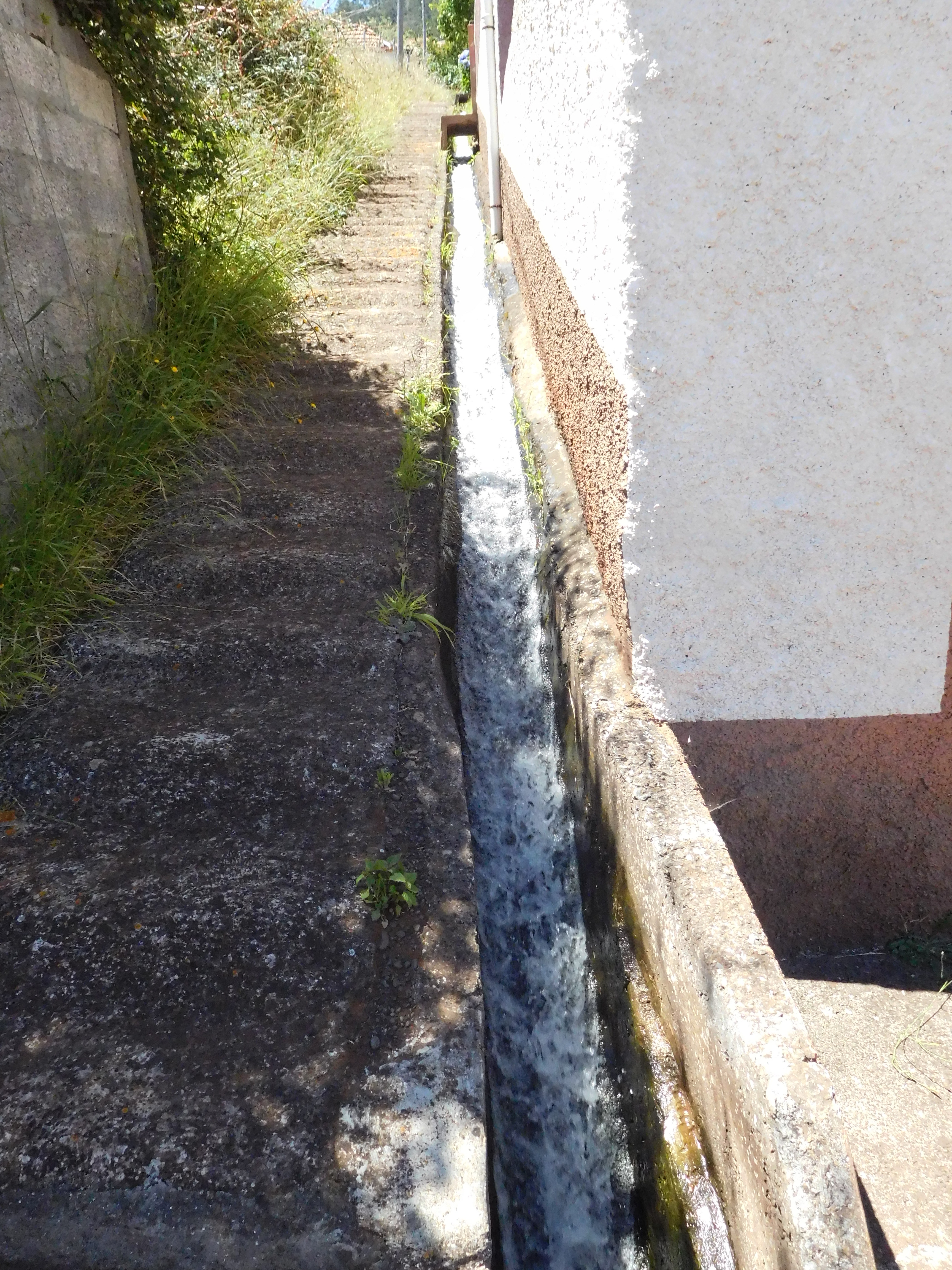 25 June 2016 Levada dos Tornos — Along the Levada do Pico das Eiroses and back to the starting point — photo 1