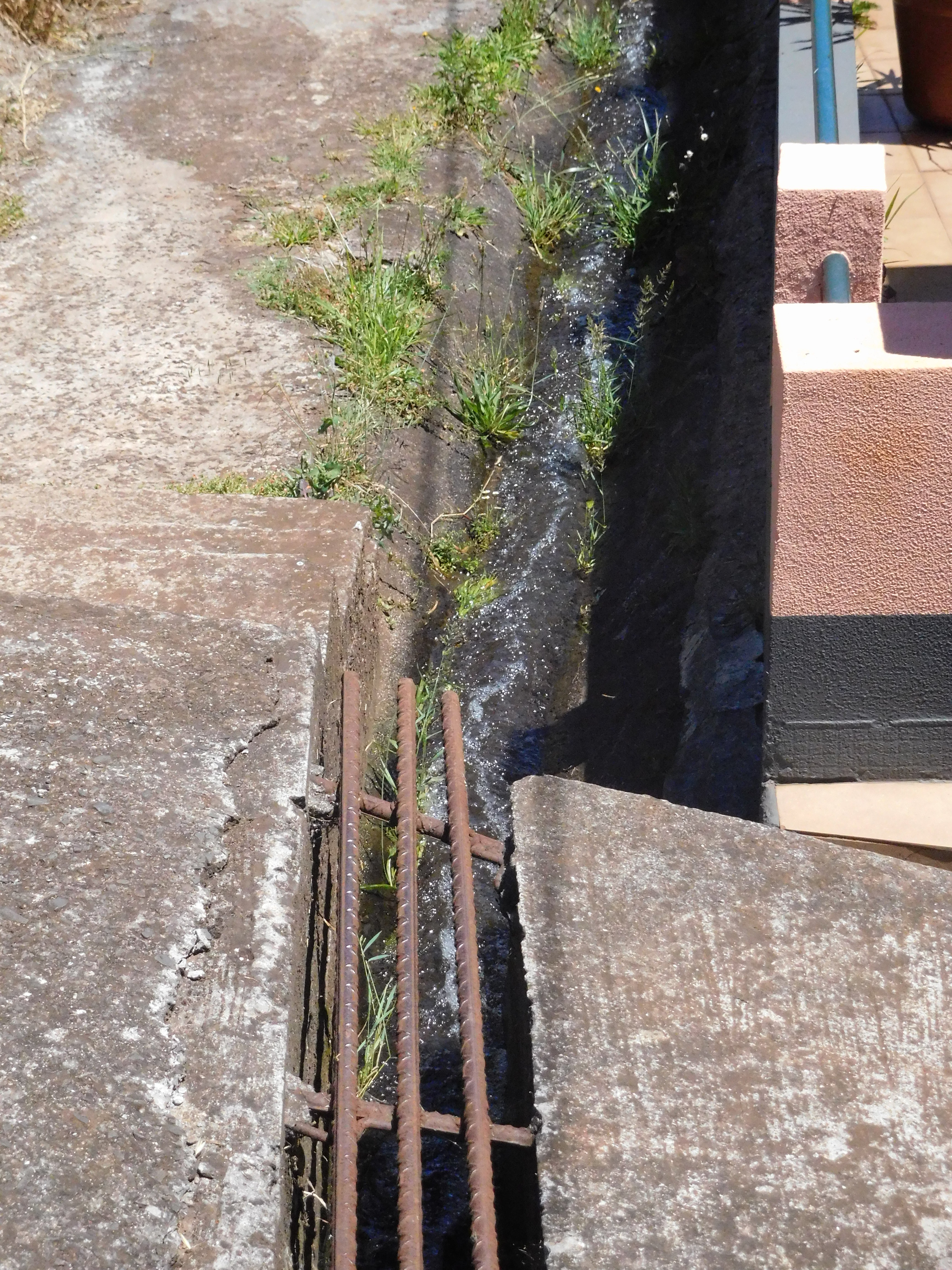 25 June 2016 Levada dos Tornos — Along the Levada do Pico das Eiroses and back to the starting point — photo 5