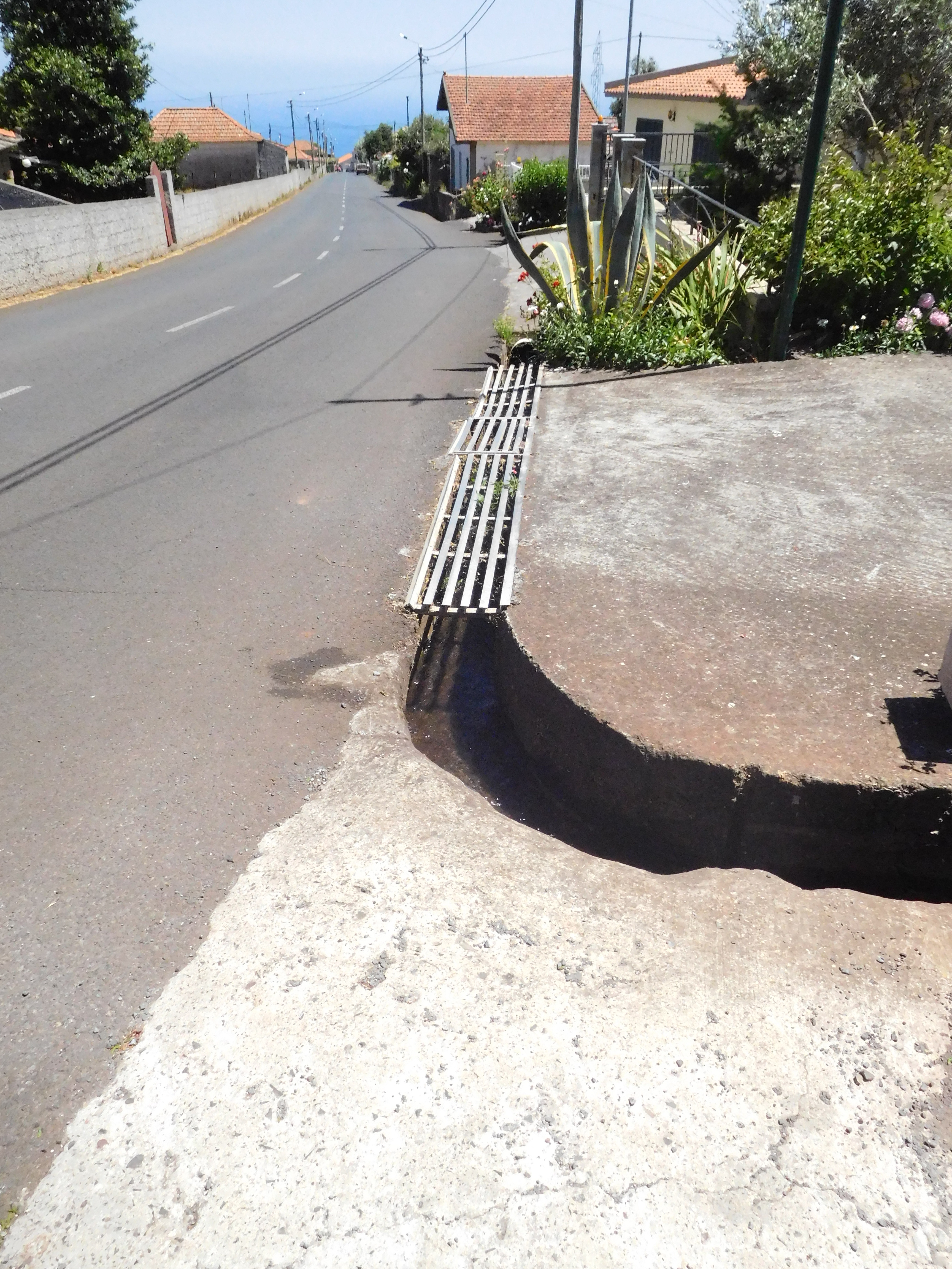 25 June 2016 Levada dos Tornos — Along the Levada do Pico das Eiroses and back to the starting point — photo 8