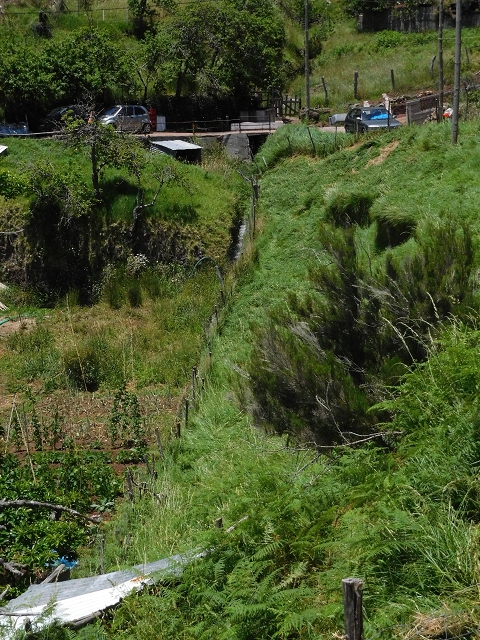 25 June 2016 Levada dos Tornos — From the ER-206 as far as Pico de Gaula — photo 7