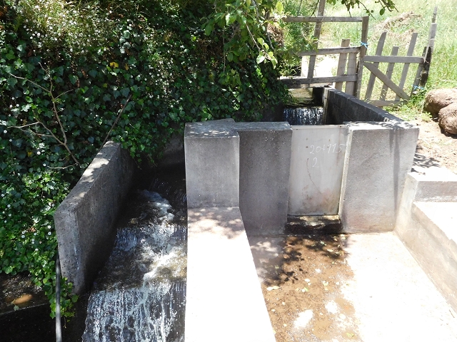 25 June 2016 Levada dos Tornos — From the ER-206 as far as Pico de Gaula — photo 8