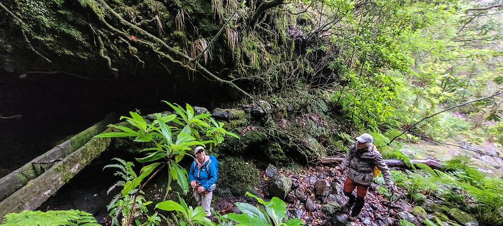25.06.2022 Abenteuerliche Levada Velha dos Cedros — Vom Abstiegsweg zur Madre: Eindrückliche alte Levadaspuren — Foto 10