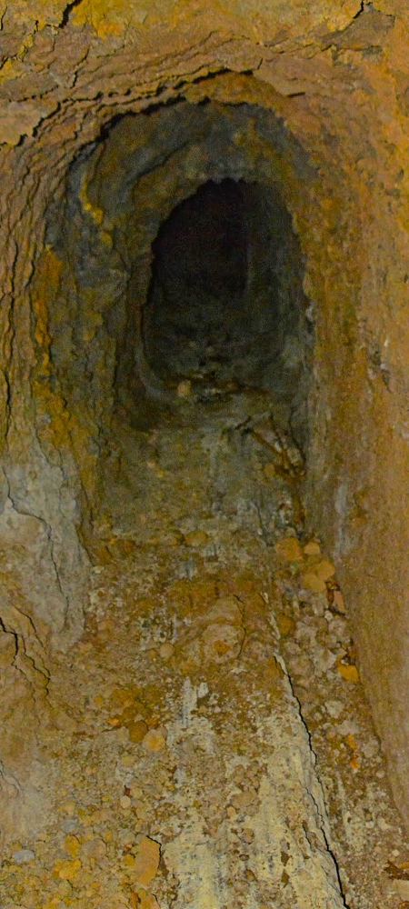 Levada Velha dos Cedros — Secção 2: O túnel curto sem saída — foto 5