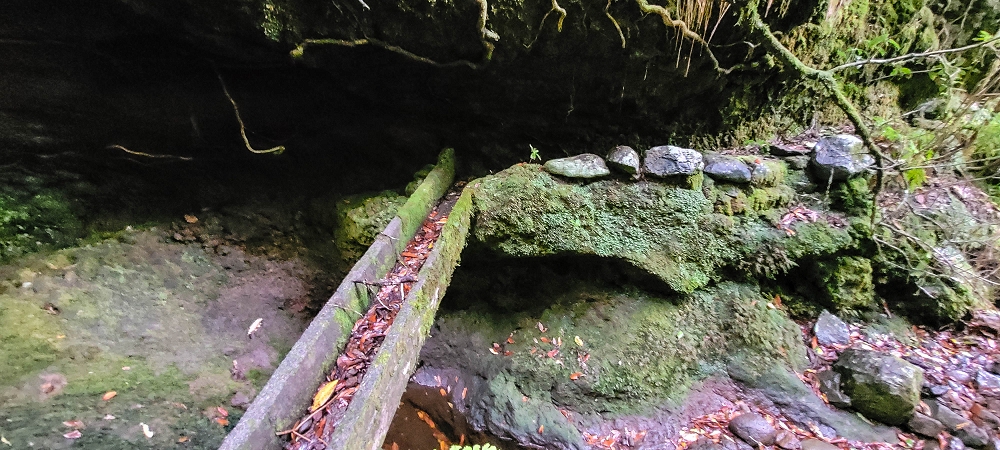 25.06.2022 Abenteuerliche Levada Velha dos Cedros — Vom Abstiegsweg zur Madre: Eindrückliche alte Levadaspuren — Foto 11