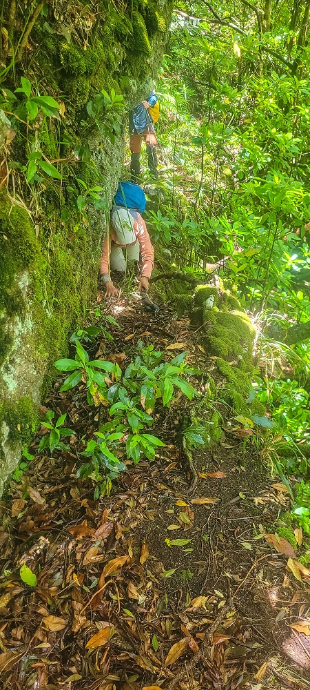 Levada Velha dos Cedros — Secção 2: A seguir com toda a concentração — foto 12