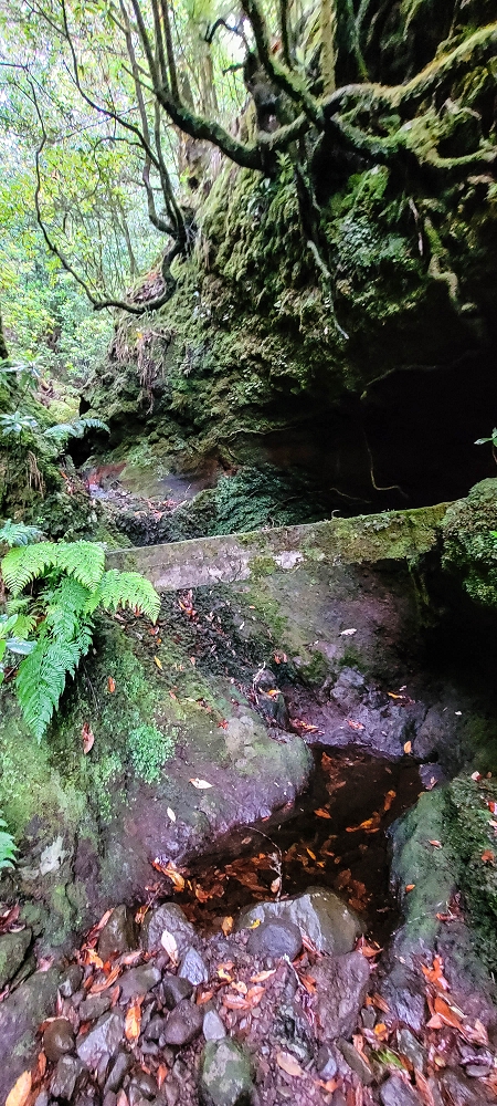 25.06.2022 Abenteuerliche Levada Velha dos Cedros — Vom Abstiegsweg zur Madre: Eindrückliche alte Levadaspuren — Foto 12