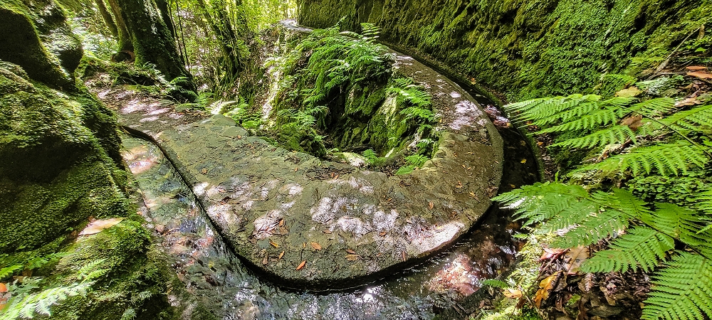25.06.2022 Abenteuerliche Levada Velha dos Cedros — Zurück in der 'Zivilisation': Levada dos Cedros — Foto 4