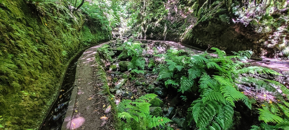 25.06.2022 Abenteuerliche Levada Velha dos Cedros — Zurück in der 'Zivilisation': Levada dos Cedros — Foto 5