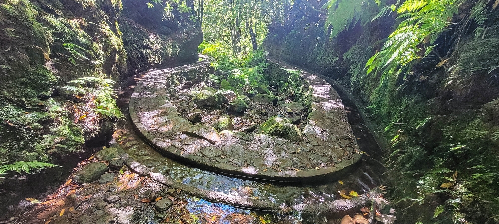 25.06.2022 Abenteuerliche Levada Velha dos Cedros — Zurück in der 'Zivilisation': Levada dos Cedros — Foto 6