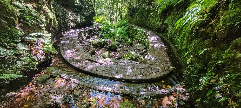 25.06.2022 Abenteuerliche Levada Velha dos Cedros — Zurück in der 'Zivilisation': Levada dos Cedros — Foto 7