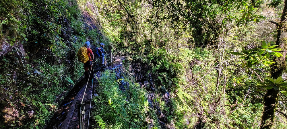 25.06.2022 Abenteuerliche Levada Velha dos Cedros — Zurück in der 'Zivilisation': Levada dos Cedros — Foto 8
