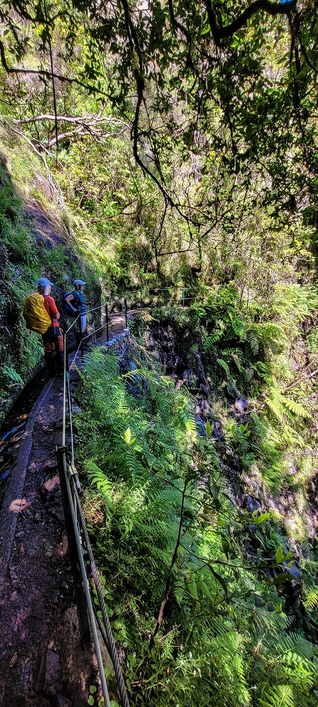 25.06.2022 Abenteuerliche Levada Velha dos Cedros — Zurück in der 'Zivilisation': Levada dos Cedros — Foto 9