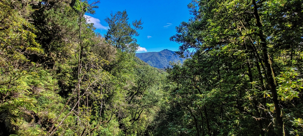 25.06.2022 Abenteuerliche Levada Velha dos Cedros — Zurück in der 'Zivilisation': Levada dos Cedros — Foto 10