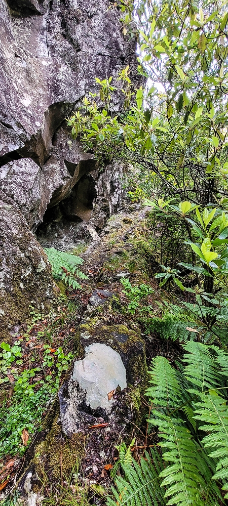 25.06.2022 Abenteuerliche Levada Velha dos Cedros — Vom Abstiegsweg zur Madre: Bis zum noch aktiven Oberlauf — Foto 1