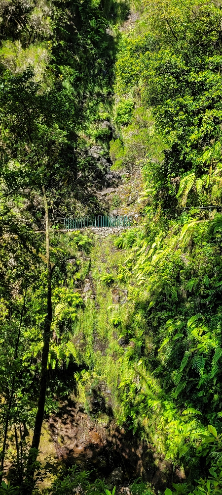 25.06.2022 Abenteuerliche Levada Velha dos Cedros — Zurück in der 'Zivilisation': Levada dos Cedros — Foto 16