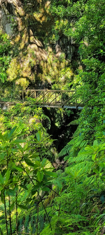 25.06.2022 Abenteuerliche Levada Velha dos Cedros — Zurück in der 'Zivilisation': Levada dos Cedros — Foto 17