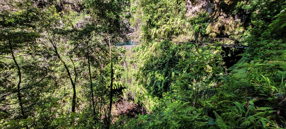 25.06.2022 Abenteuerliche Levada Velha dos Cedros — Zurück in der 'Zivilisation': Levada dos Cedros — Foto 18