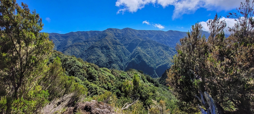 25.06.2022 Abenteuerliche Levada Velha dos Cedros — Miradouro dos Cedros — Foto 1
