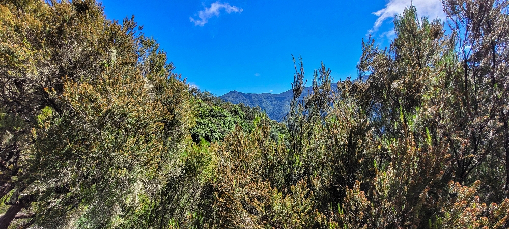 25.06.2022 Abenteuerliche Levada Velha dos Cedros — Miradouro dos Cedros — Foto 2