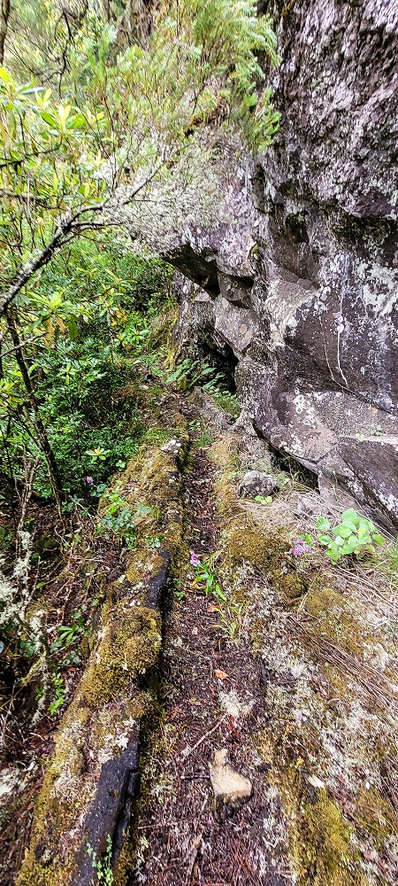25.06.2022 Abenteuerliche Levada Velha dos Cedros — Zurück zum Aufstiegsweg — Foto 6