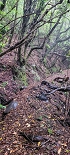 25.06.2022 Abenteuerliche Levada Velha dos Cedros — Vom Abstiegsweg zur Madre: Eindrückliche alte Levadaspuren — Foto 4