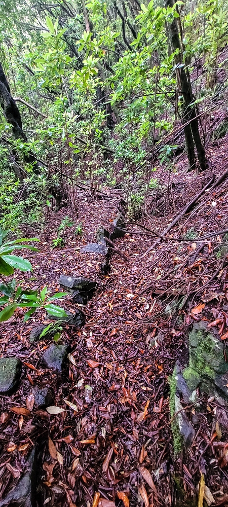 Levada Velha dos Cedros — Secção 2: Seguindo a partir do caminho de descida no antigo sentido do fluxo — foto 20