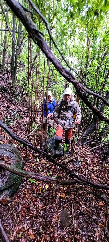 Levada Velha dos Cedros — Secção 2: Seguindo a partir do caminho de descida no antigo sentido do fluxo — foto 22